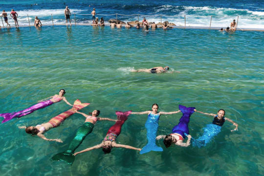 Unique business opportunity for a mermaid at heart