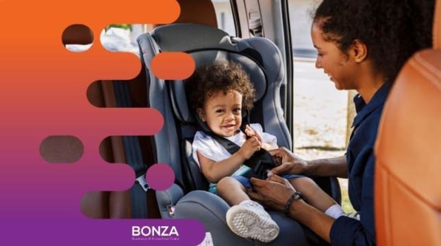 35570 Profitable Baby Gear Rental  Home-Based and Thriving