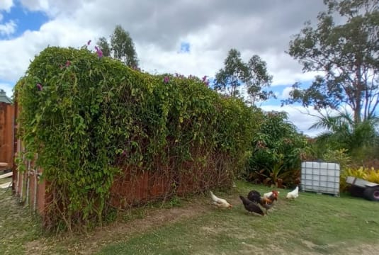 W2xyrbi1lf2gpa44vg4w