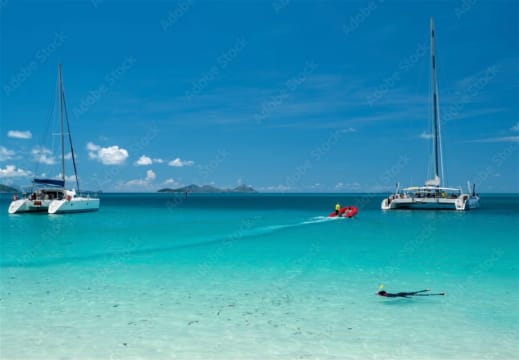 W4vyp6wqropaiec4be43