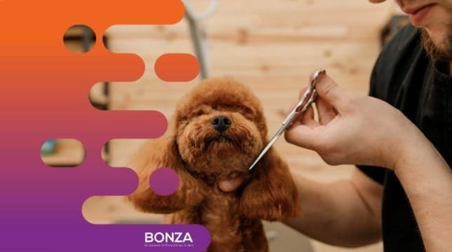 34576 Exciting Opportunity: Turnkey Mobile Dog Grooming Service
