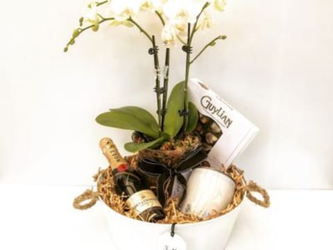 Succulent Surprise - Established Online Plant Store and Gifting Brand - National Opportunity