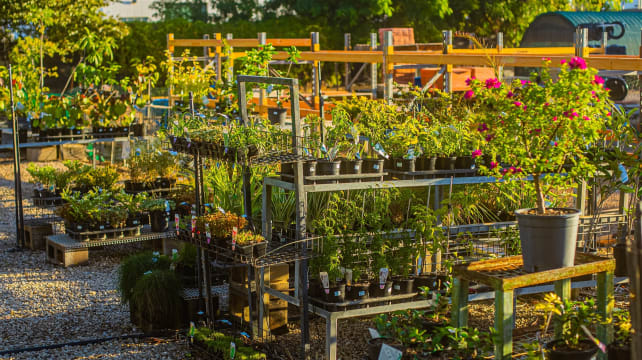 Katherine Mitre10 - highly profitable with multi million sales p.a.