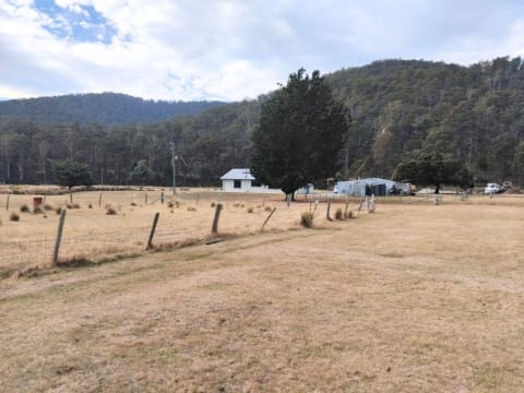 Rare Secluded Private Retreat Tyne River Alternative Life Style Self Sufficiency 5Star Home $850K