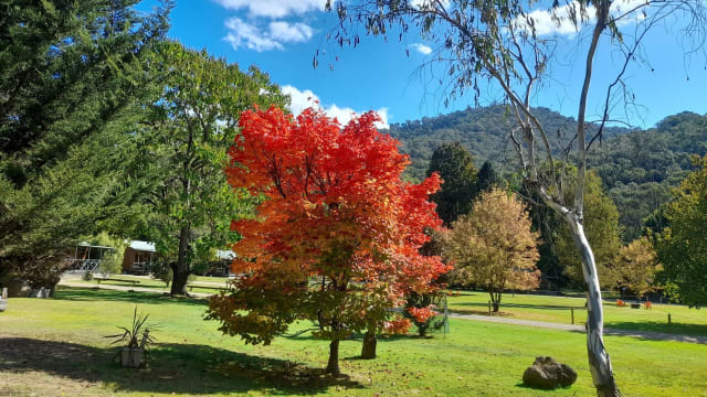 Harrietville Cabins – Established High Country Accommodation