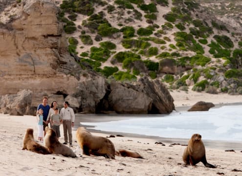 Award Winning EcoStar Tourism Business - Kangaroo Island
