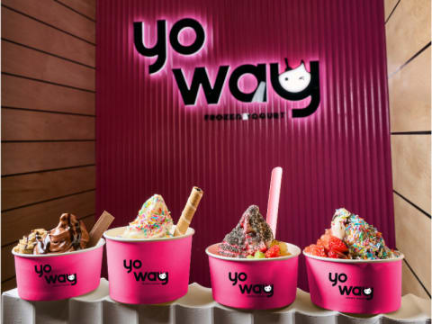 Expressions of Interest – YoWay Frozen Yogurt $85K Franchise
