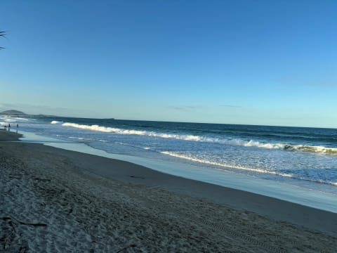 Mixed Management Rights for Sale in Surfers Paradise with 2.00 Multiplier - ID 9167