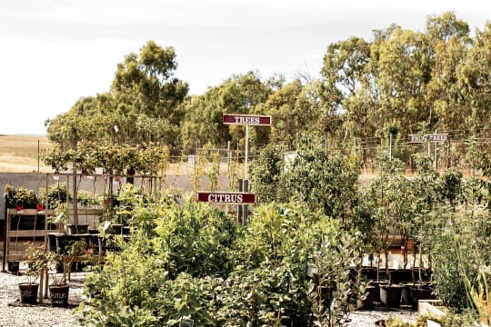 Corryong Building Supplies