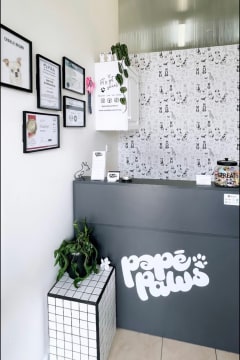 DOG GROOMING BUSINESS