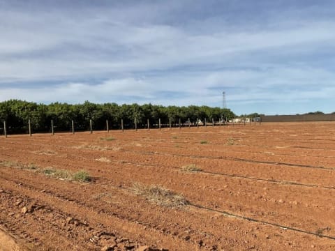 Horticulture Business & 58 Acre Asset | $1.5M+ Capability | Walk-In Walk-Out