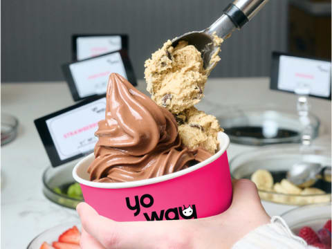 Expressions of Interest – YoWay Frozen Yogurt $85K Franchise