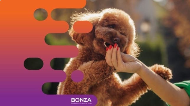 Wj0hllowoab2iyrg2opz