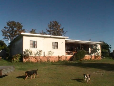 Farm Located in north NSW