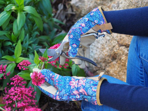 Gardening Gift Box Business – National Online Opportunity