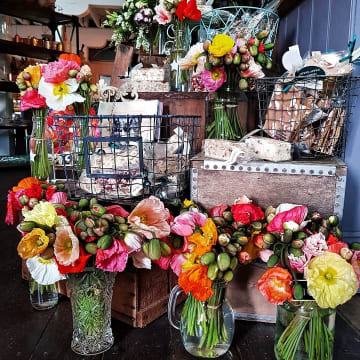 Womos36szhmfjskd0fae