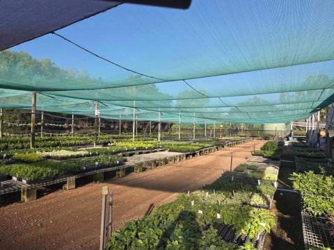 Central to North Queensland Wholesale Nursery  Strategic Add on or Lifestyle Business