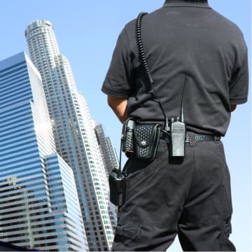 CRICOS RTO. Security & IT Scope. Low-Risk ASQA Assessment. Well priced (REF: 1584)