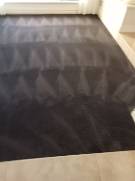 URGENT SALE- Profitable Owner-Operator Carpet Cleaning Business Growth Potential