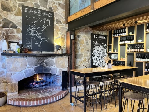 Established SA Wine Tour Operator: 25+ Years, Branded Fleet & Growth Potential