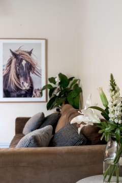 Fully Equipped Turnkey Redfern PT Studio + Seperate 3 Bed Apartment