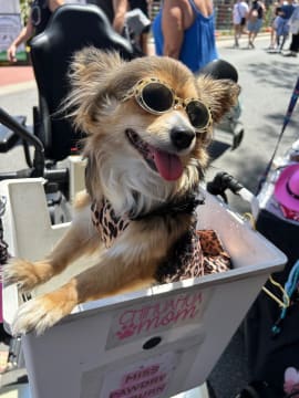 Turnkey Market Stall Business for Sale with 2022 LDV Deliver 9 Van