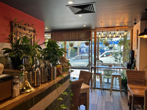 Thriving Vegetarian Restaurant with Beautiful Fit-out