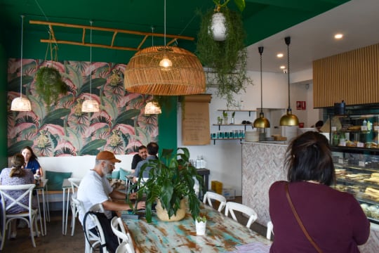 Wyjhq6fa8gvlokh9zhfs