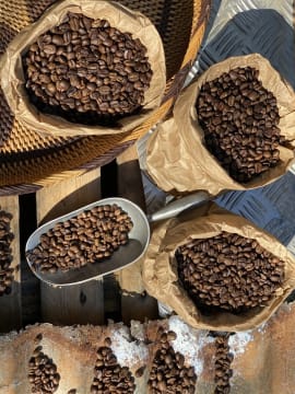 Coffee Works - Mareeba, Far North Queensland