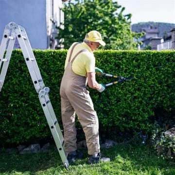 Established Garden Maintenance Business - Recurring Clients