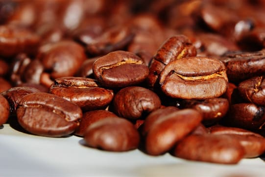 Thriving & Consistent Cafe in Fantastic N.O.R. Location