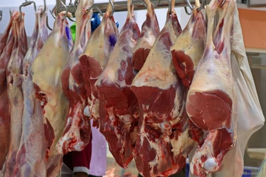 Gold Coast Large-Format Butchery & Food Service Business with Retail Shop For Sale