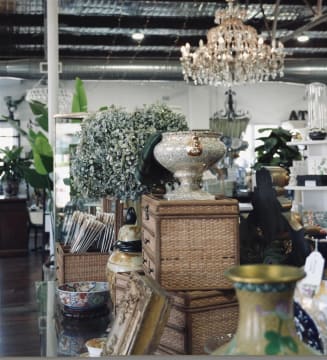 Xdnw9ji0lt77zlwcgvb1