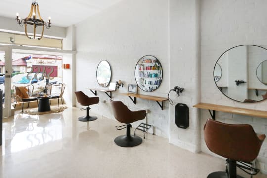 SALON SASS & CO - Established Reputation & Clientelle