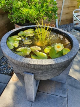 Specialist Retail Garden Centre – Clearview, SA