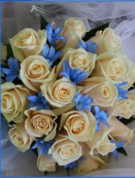 Xiyw2976er0ct9bappwl