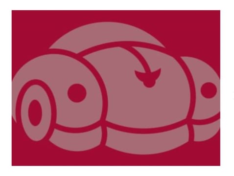 Gold Coast Car Rental Business for Sale with Mechanical Workshop