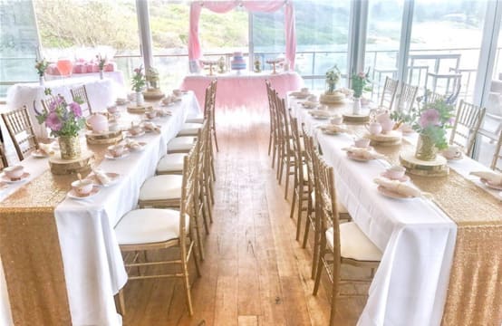 Kids Party Entertainment Business For Sale