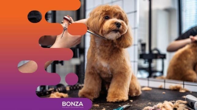 35061 Thriving Dog Grooming Business in Prime Location