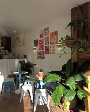 Established Acai Bar – Port Douglas | Fully Fitted | Motivated Sale