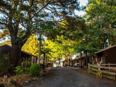 STRATEGIC FREEHOLD TOURISM PARK IN HIGH-GROWTH NATURE DESTINATION - 222CPF