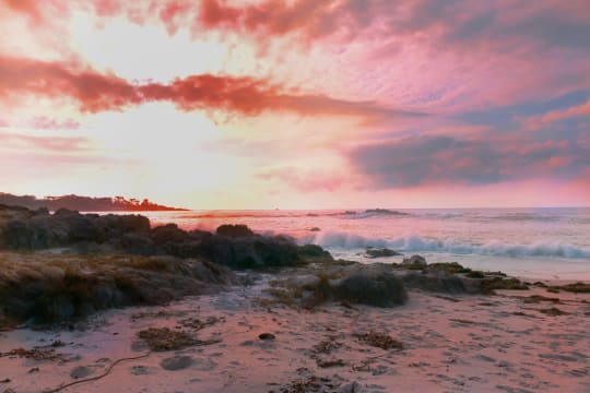 AN EXCITING OPPORTUNITY WHERE TRAVEL IS INCLUDED – 11CL