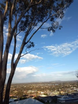 Specialist boutique Strata Management agency in Wagga Wagga