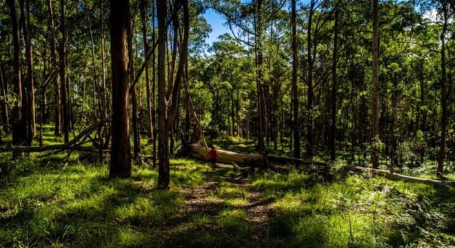 Agriculture, Recreation and Luxe Accommodation Development Opportunity