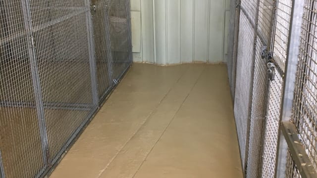 Escape the City. Bring Your Income With You.
Established Boarding Kennel Business + Home + 45 Acres