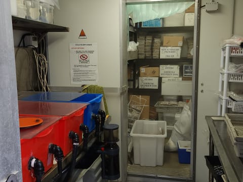 Xpxsapnikx7uyf0ujluc