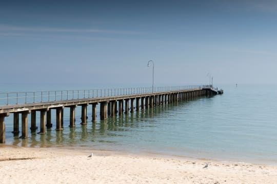 Vendor Business Payment Finance Available - Family Fish & Chippery Business For Sale on the Morni...