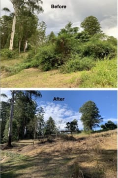 Profitable Eco Vegetation Management Business, Northern NSW
