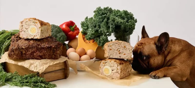 Fresh Pet Food Retail Shop (South Eastern Suburbs) MW1504