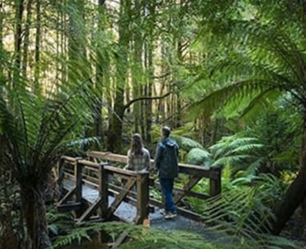 Boutique Accommodation Retreat + Freehold - Dandenong Ranges